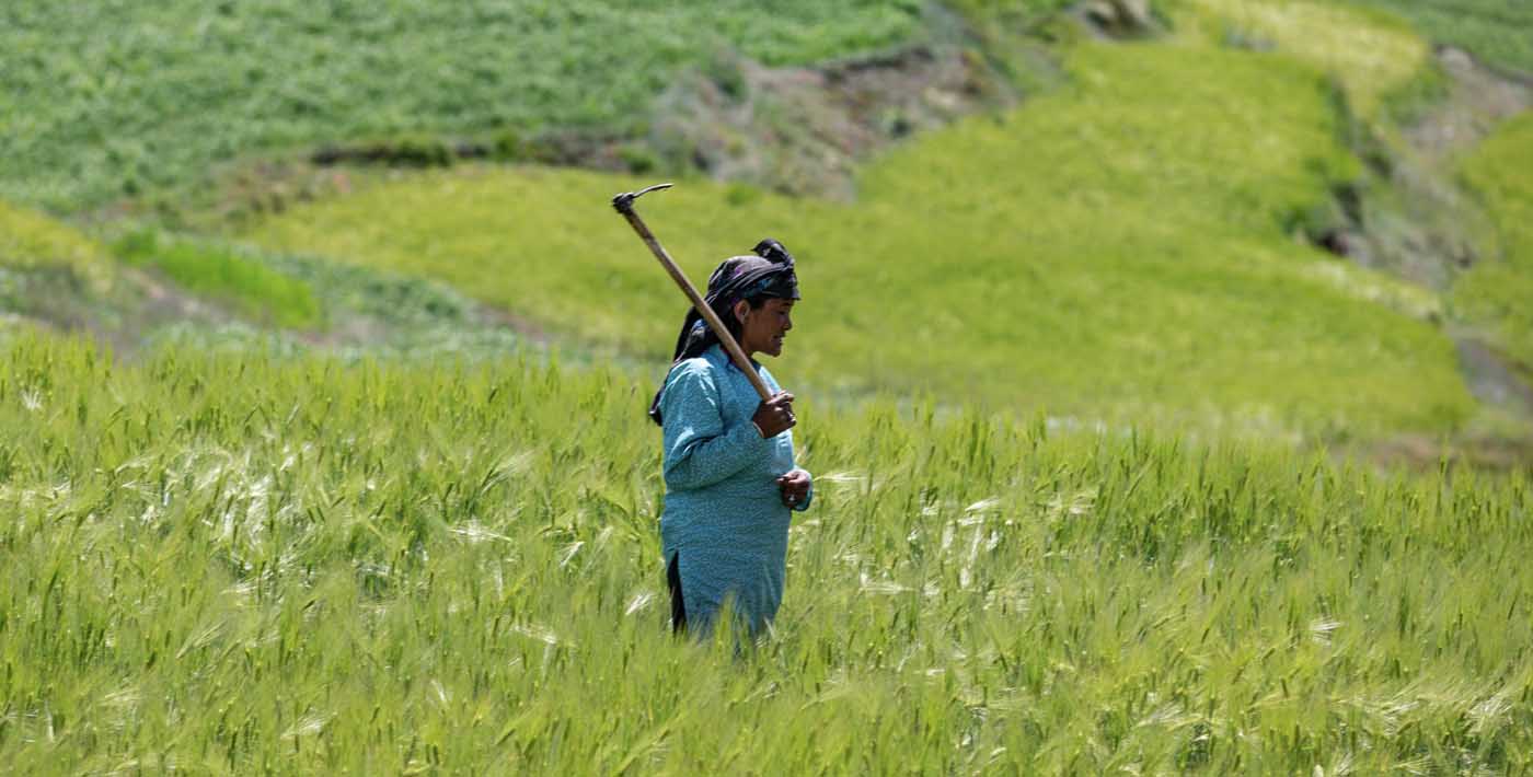 Agriculture